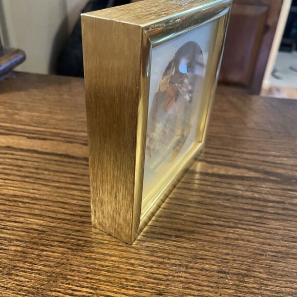 Vintage Framed Real Butterfly Taxidermy Dried  Flowers Diorama - Picture 6 of 7